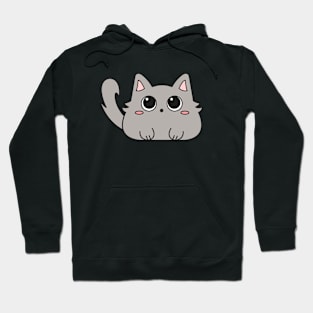 Cute gray kitten Hoodie